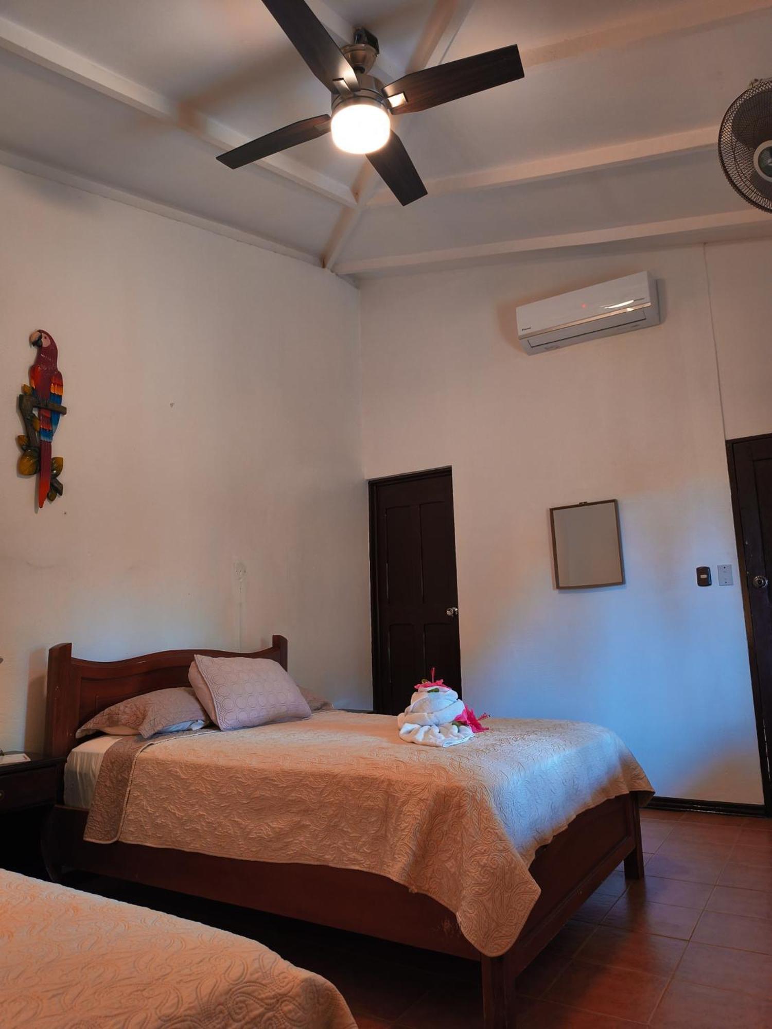 La Laguna Del Lagarto Eco-Lodge Pital  المظهر الخارجي الصورة