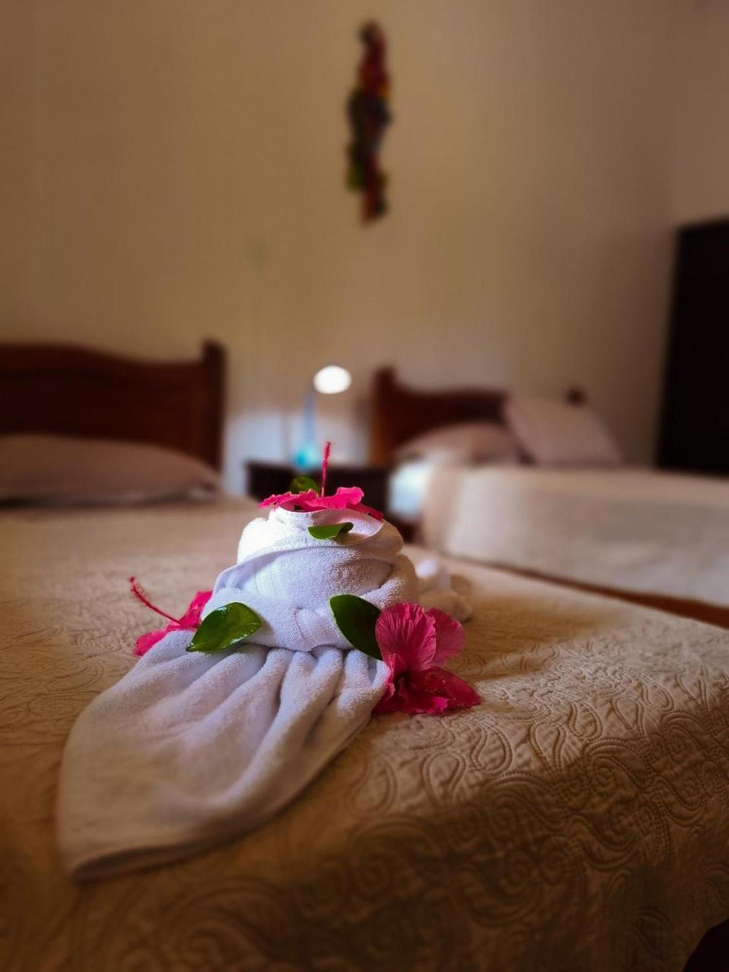La Laguna Del Lagarto Eco-Lodge Pital  المظهر الخارجي الصورة