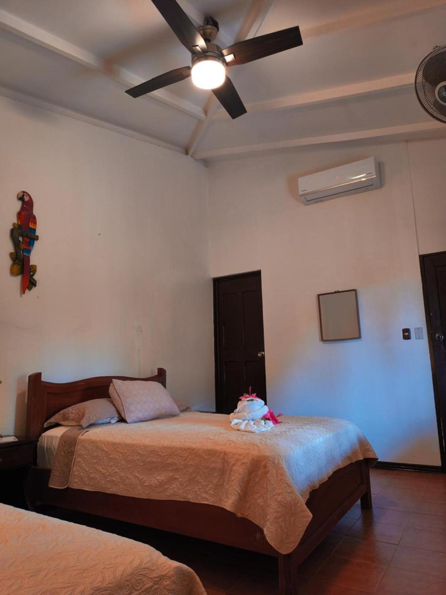 La Laguna Del Lagarto Eco-Lodge Pital  المظهر الخارجي الصورة