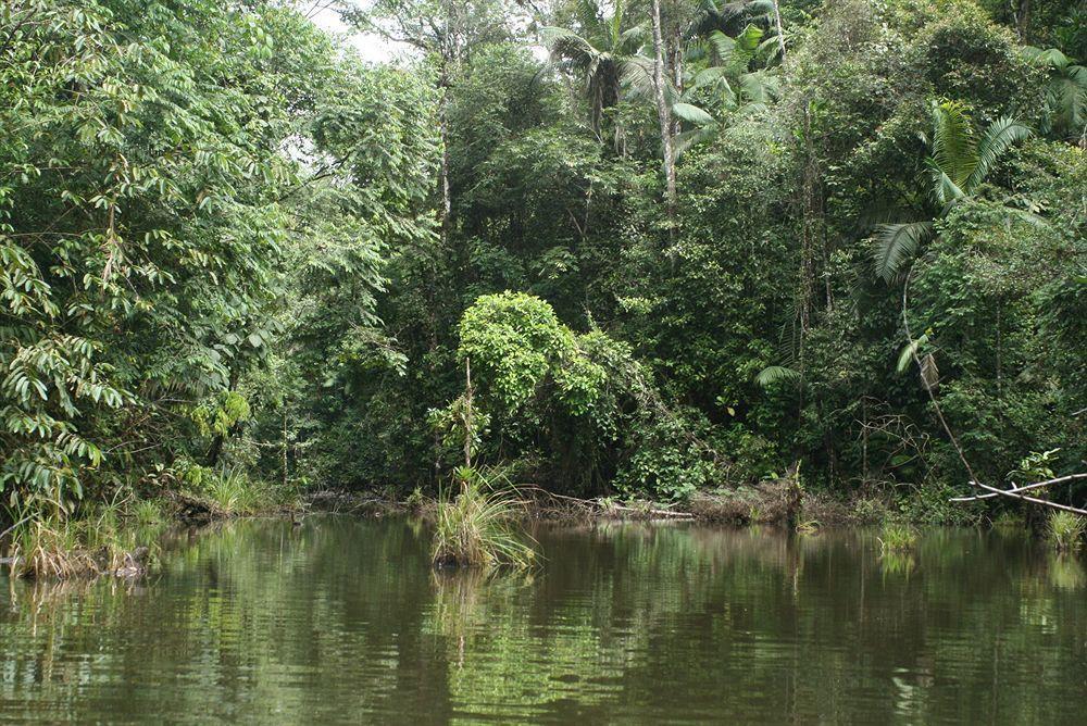 La Laguna Del Lagarto Eco-Lodge Pital  المظهر الخارجي الصورة