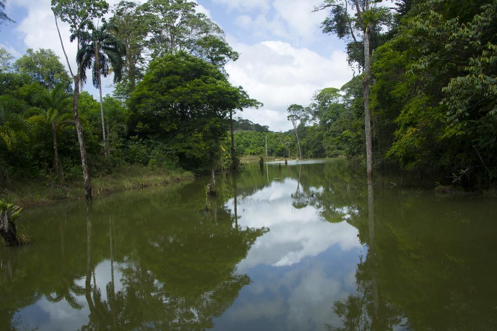 La Laguna Del Lagarto Eco-Lodge Pital  المظهر الخارجي الصورة
