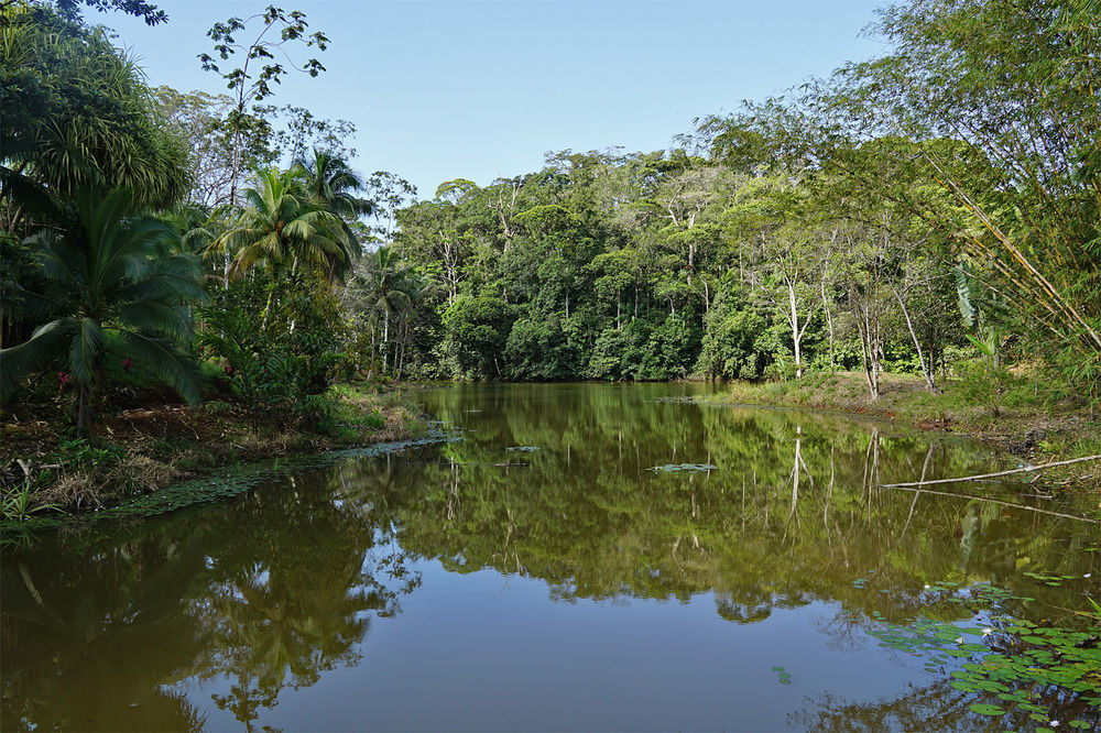 La Laguna Del Lagarto Eco-Lodge Pital  المظهر الخارجي الصورة