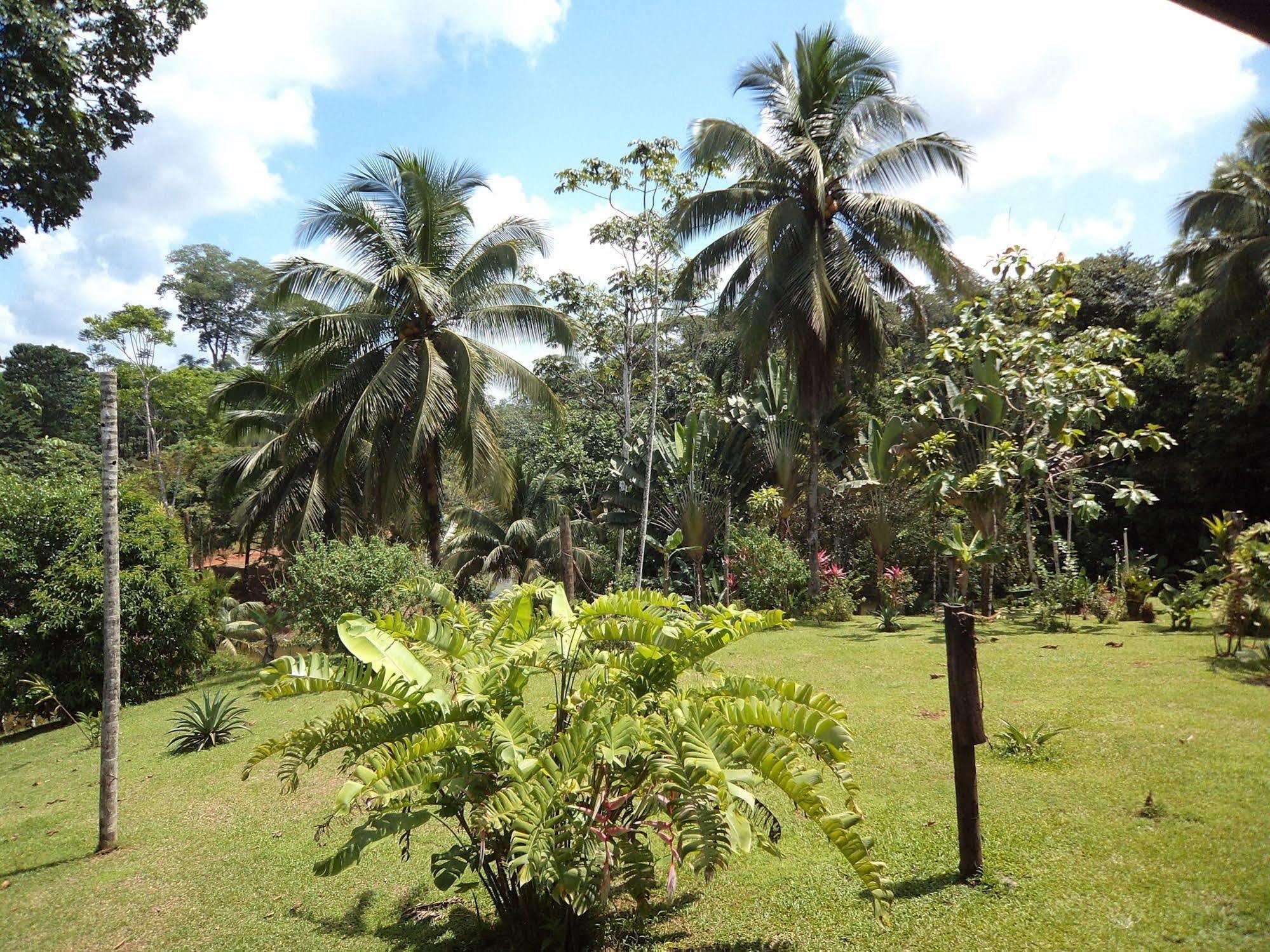 La Laguna Del Lagarto Eco-Lodge Pital  المظهر الخارجي الصورة