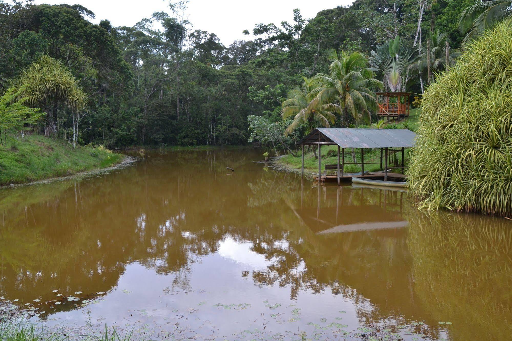 La Laguna Del Lagarto Eco-Lodge Pital  المظهر الخارجي الصورة