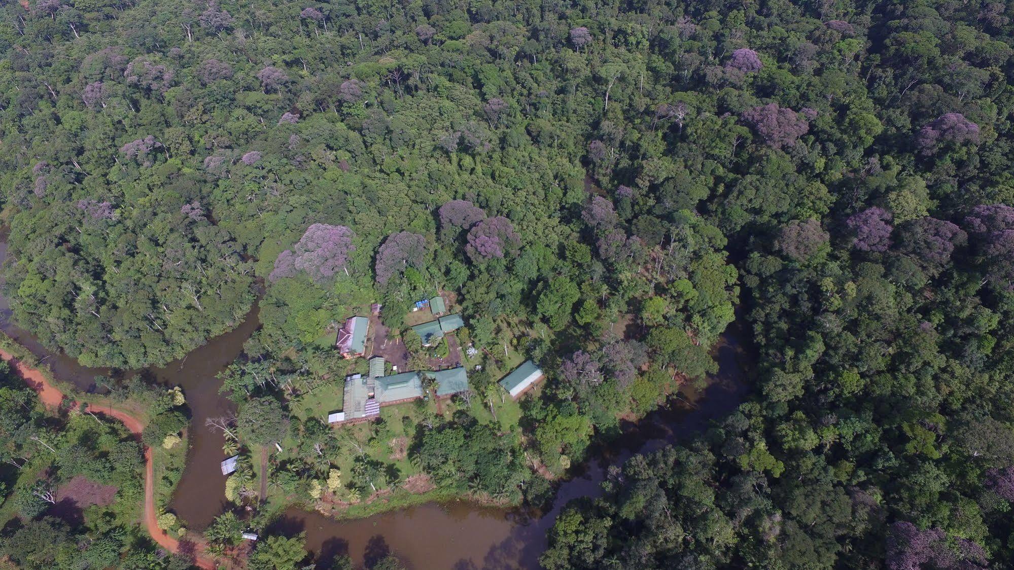 La Laguna Del Lagarto Eco-Lodge Pital  المظهر الخارجي الصورة