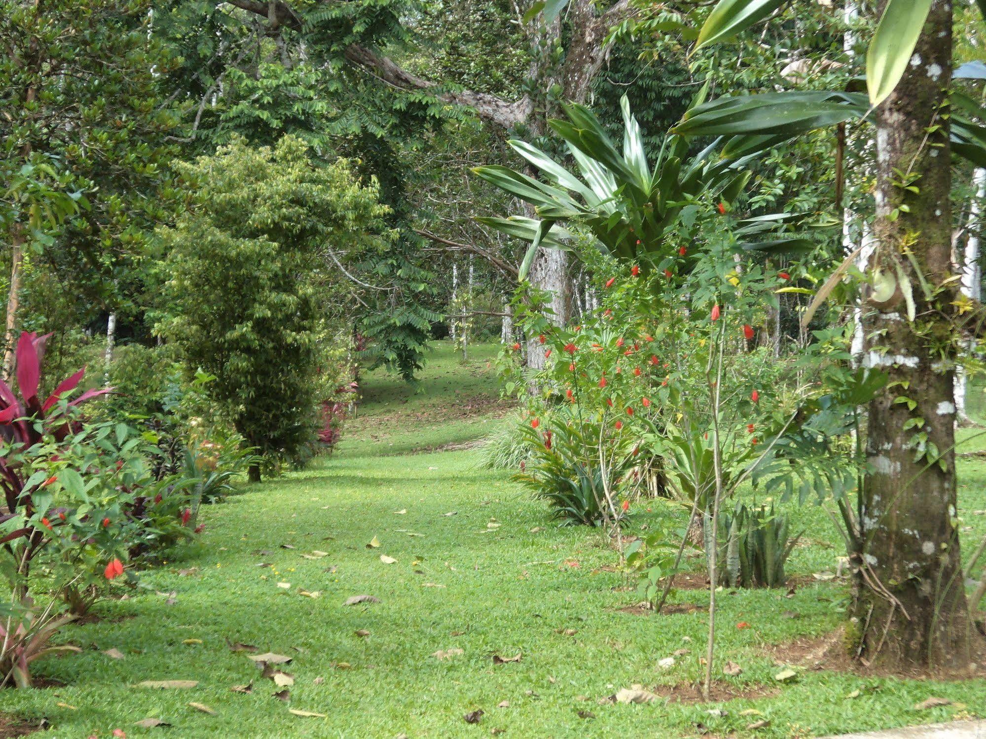 La Laguna Del Lagarto Eco-Lodge Pital  المظهر الخارجي الصورة