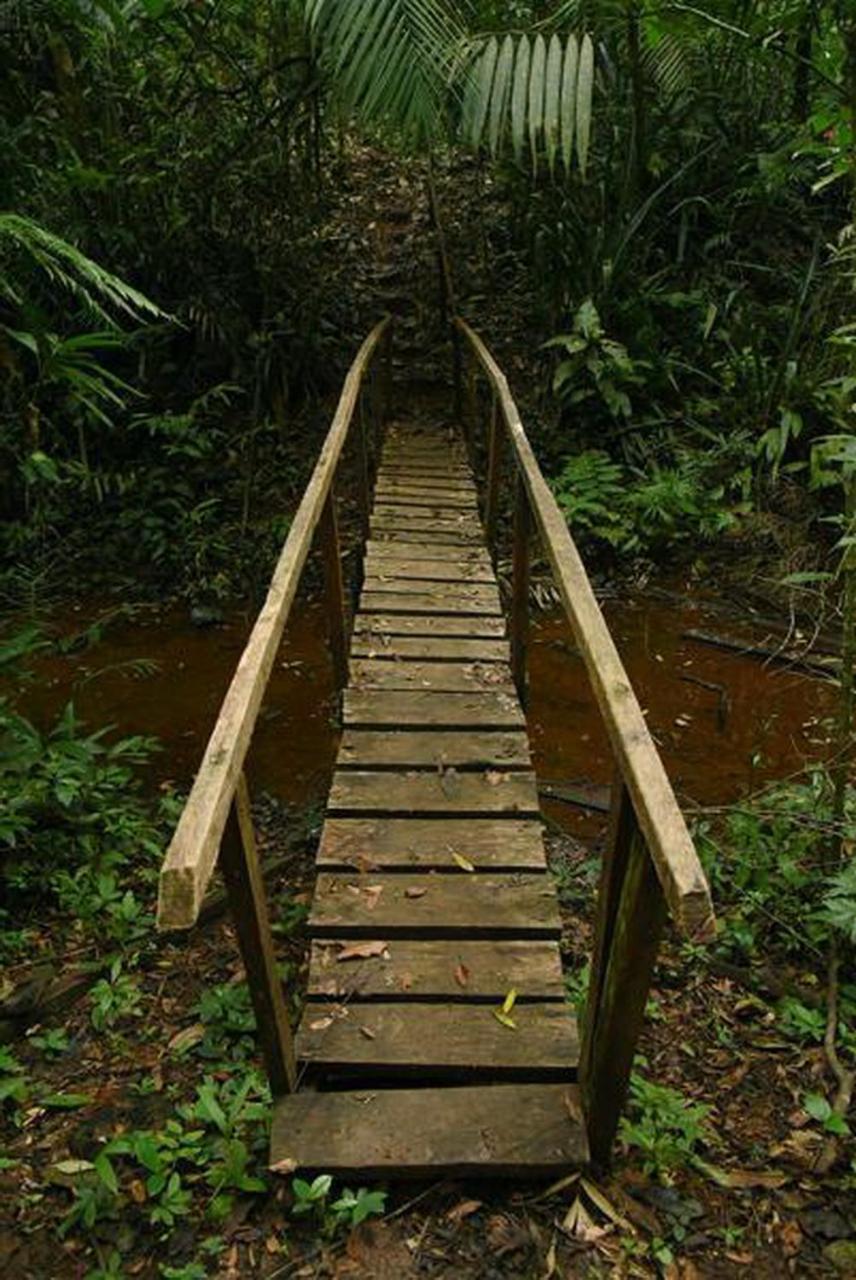 La Laguna Del Lagarto Eco-Lodge Pital  المظهر الخارجي الصورة