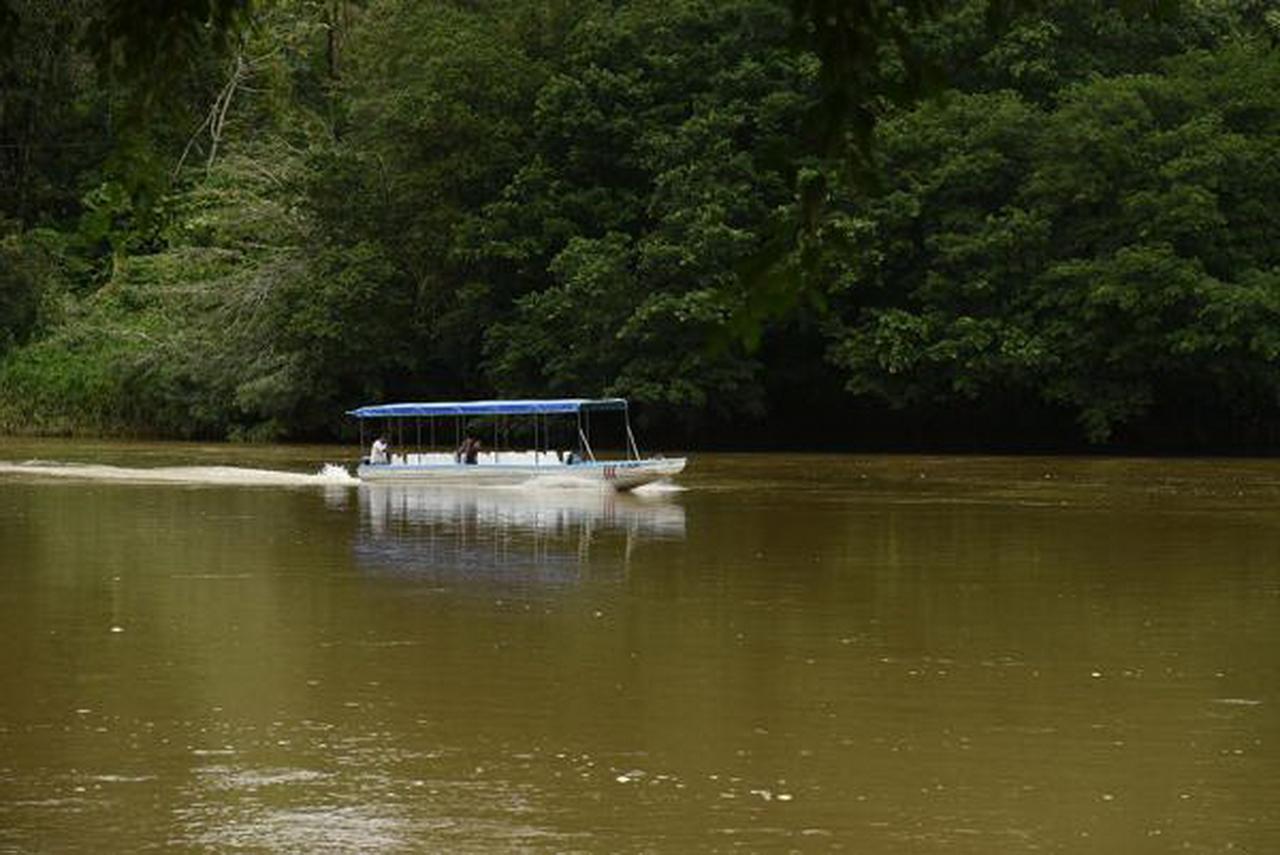 La Laguna Del Lagarto Eco-Lodge Pital  المظهر الخارجي الصورة