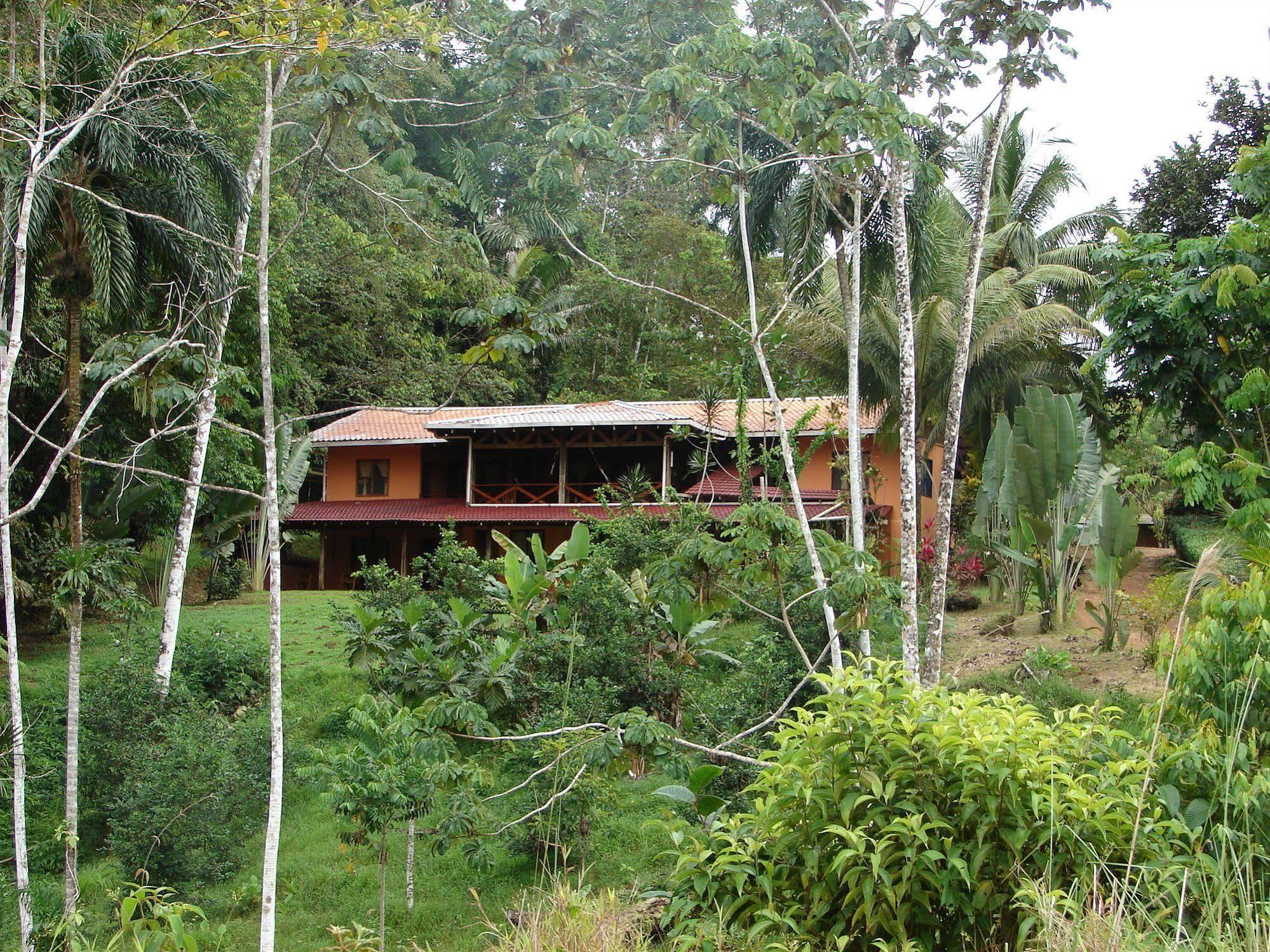 La Laguna Del Lagarto Eco-Lodge Pital  المظهر الخارجي الصورة